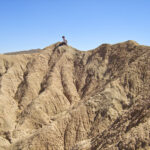 Cárcavas típicas en el relieve de huayquerías (badlands) en depósitos sinorogénicos miocenos. Loma de Las Tapias, Precordillera Oriental (Foto: Pablo Blanc).
