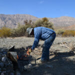 Tradicional de las campañas de campo: punta de espalda de cerdo asada. A cargo del Tec. Nicolás Vargas. Al fondo, Sierra Chica de Zonda (Precordillera Oriental) (Foto: Pablo Blanc).