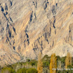 Plegamientos en calizas cámbricas de la Fm. La Laja en la sierra de Marquesado frente a la localidad de Villa Tacú, valle de Zonda. Precordillera Oriental (Foto: Pablo Blanc).